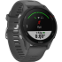 Garmin Умные часы Forerunner 255S (010-02641-12), серый