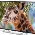 Телевизор Polarline 55PU11TC-SM 55" 4K Ultra HD