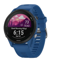 Garmin Умные часы Forerunner 255 (010-02641-11), синий