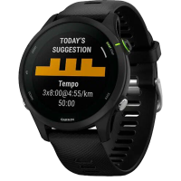 Garmin Умные часы Forerunner 255 Music (010-02641-30), черный