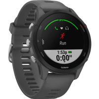 Garmin Умные часы Forerunner 255S (010-02641-12), серый